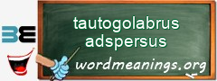 WordMeaning blackboard for tautogolabrus adspersus
